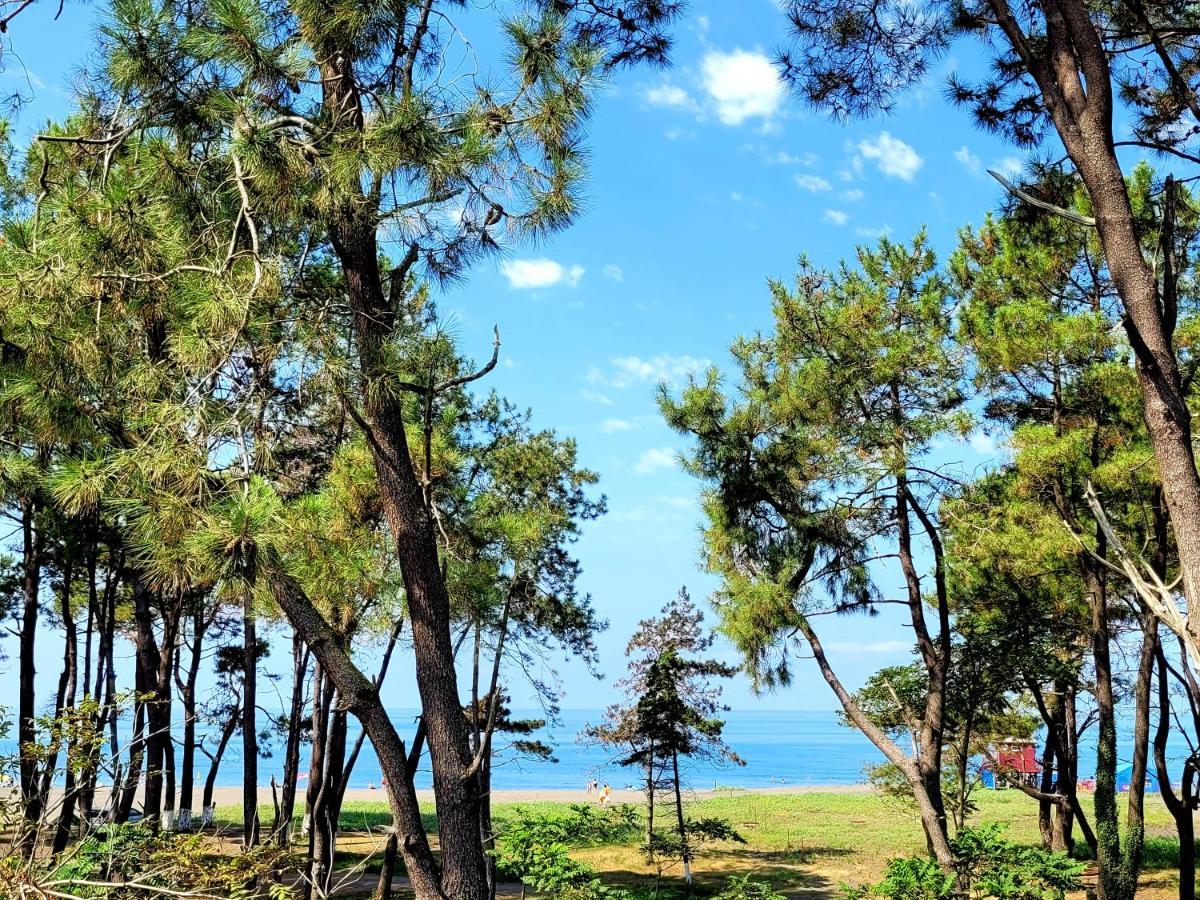 Beachfront Apartments ,,Kapro-One,, Ureki Εξωτερικό φωτογραφία